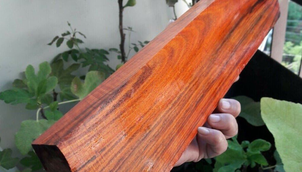 Gỗ Hồng (Rosewood) có vẻ đẹp ấn tượng với độ bóng cao