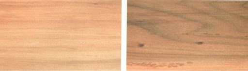Đặc điểm chung và cách phân biệt gỗ Liễu (gỗ Willow) Đặc điểm chung và cách phân biệt gỗ Liễu (gỗ Willow)