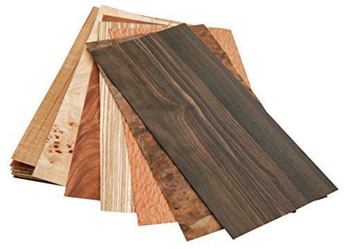 Gỗ veneer loại gỗ phổ biến