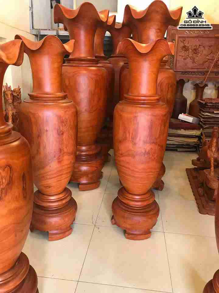 Lục Bình Gỗ Hương Nam Phi