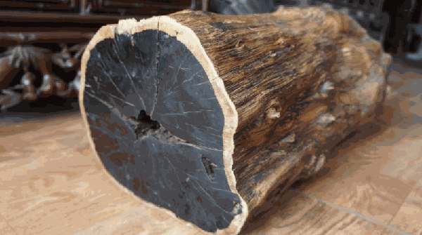 Cây gỗ Mun có trọng lượng riêng lớn, lên tới 1390kg/m3