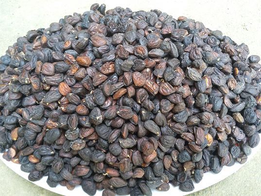 Hạt cây Bò Ma