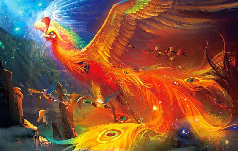 Hình Ảnh Phượng Hoàng
