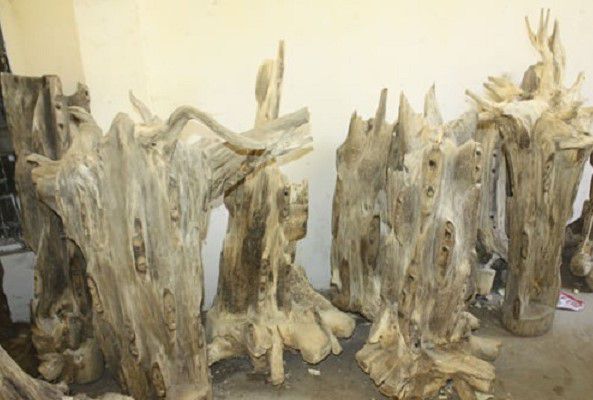 Gỗ Trầm Hương - Bạch Kỳ
