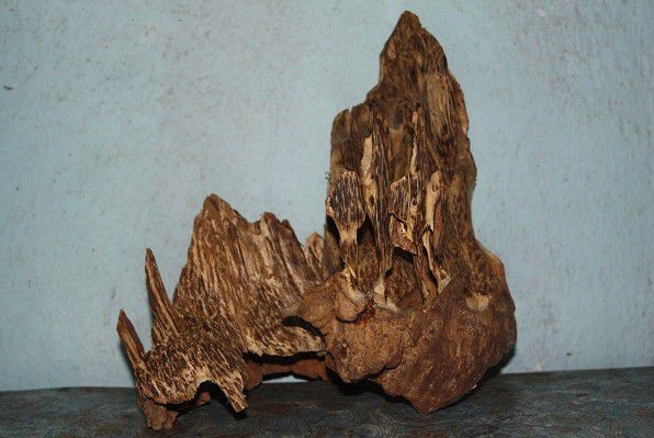 Gỗ Trầm Hương - Huỳnh Kỳ