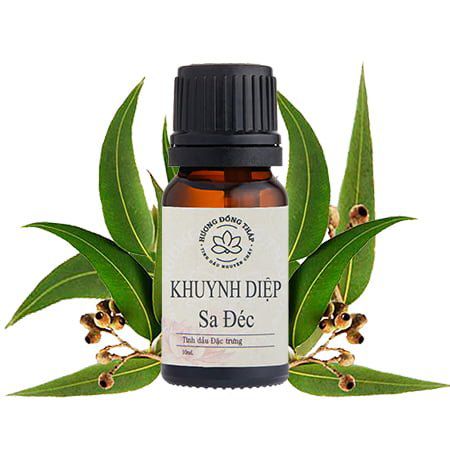 Tinh dầu Khuynh Diệp
