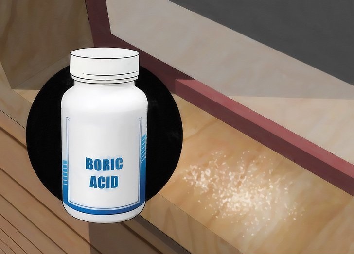 Sử dụng Acid diệt Mối là phương pháp nhanh chóng và hiệu quả nhất