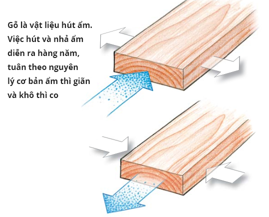 Sự co giãn của gỗ theo độ ẩm