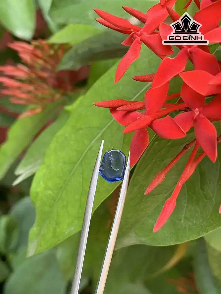 Đá Sapphire