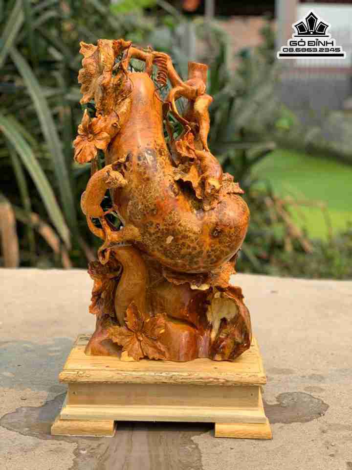 Bầu Bí Phong Thủy