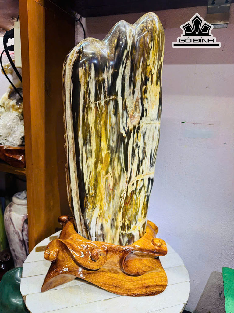 gỗ Hóa Thạch 