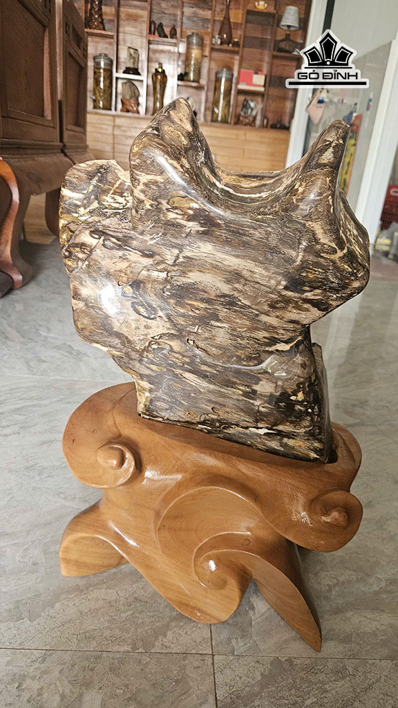gỗ Hóa Thạch 