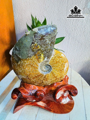 Đá Opal 