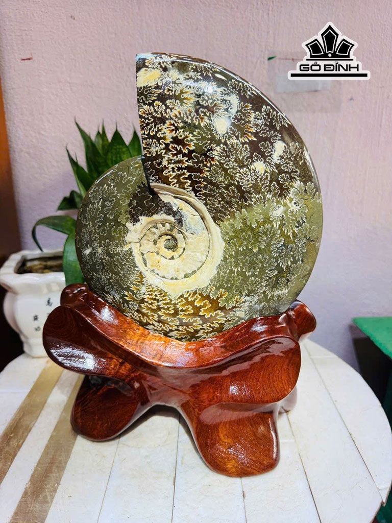 Ốc Anh Vũ Hóa Ngọc