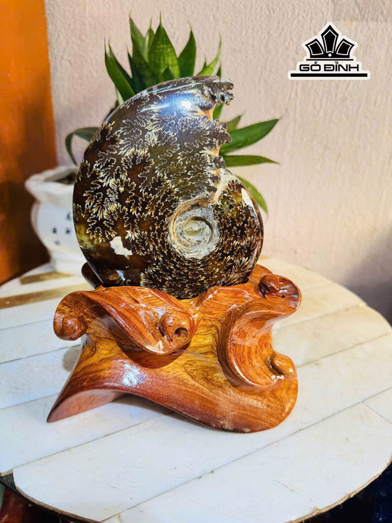 Ốc Anh Vũ Hóa Ngọc