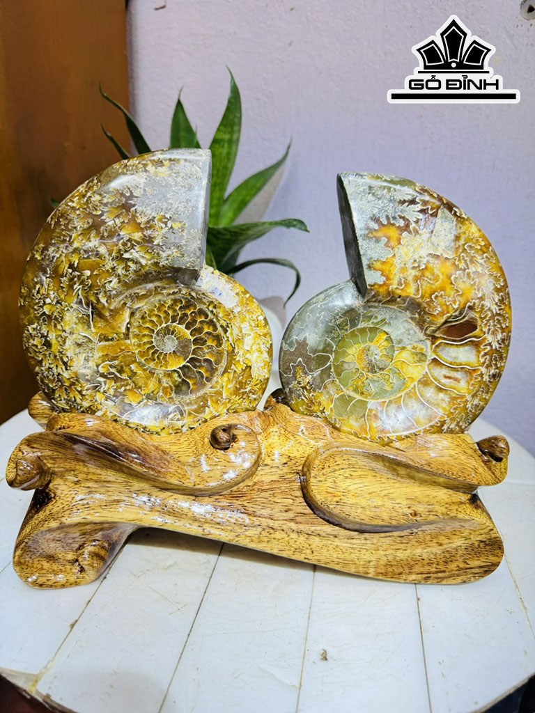 Ốc Anh Vũ Hóa Ngọc