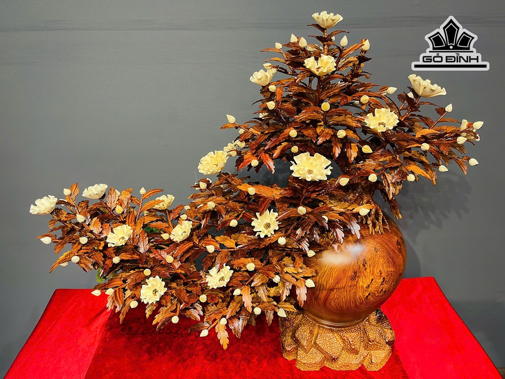 Bonsai gỗ 