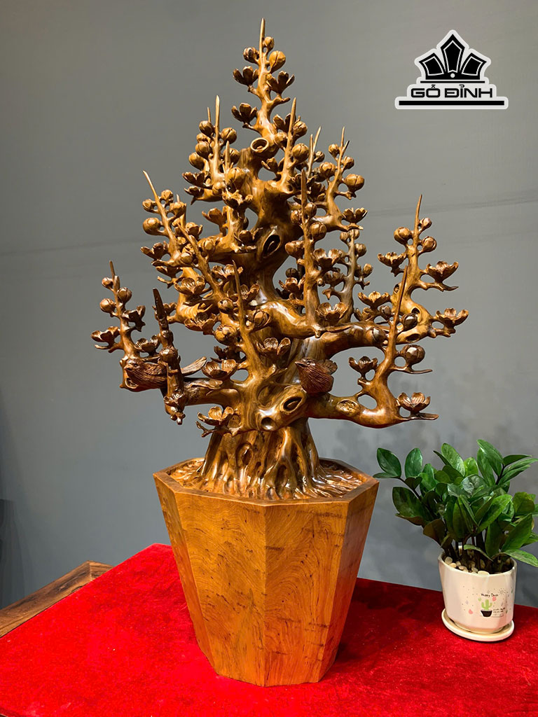 Bonsai gỗ 