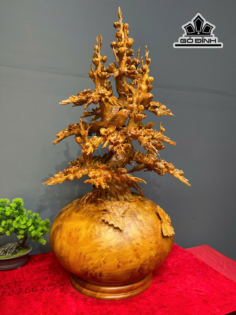 Bonsai gỗ 