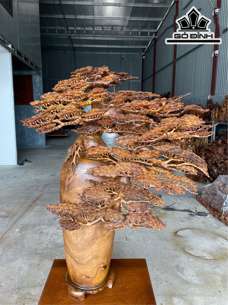 Bonsai gỗ 