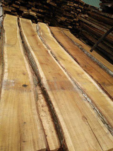 Vân gỗ Xà Cừ
