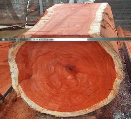 Vân gỗ Sơn Huyết Vân gỗ Sơn Huyết