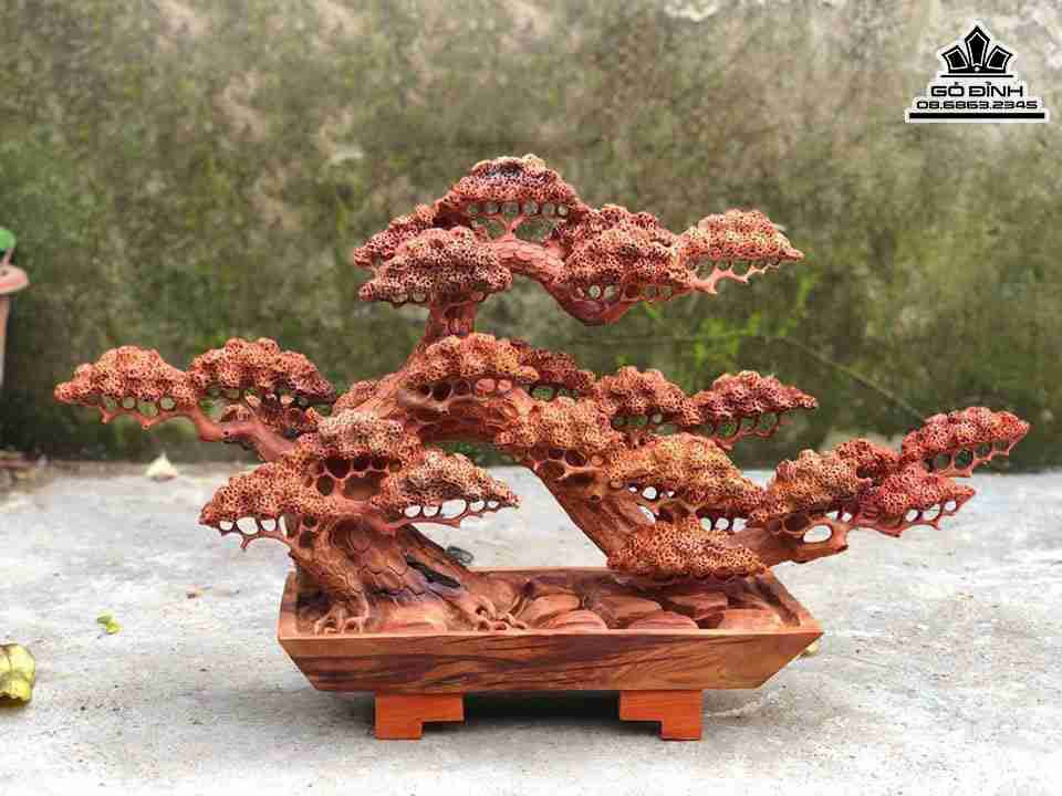 Chậu Tùng Bon Sai Gỗ Hương 