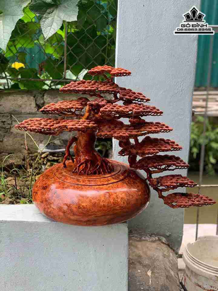 Tượng Bình Tùng Bon Sai Gỗ Nu Hương 