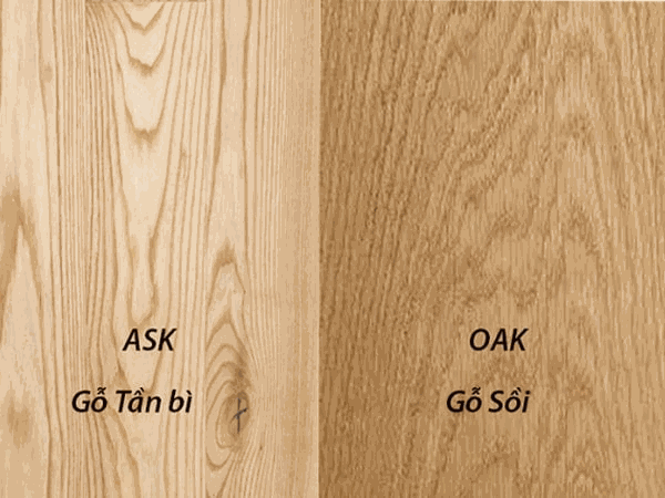 Gỗ tần bì và gỗ sồi