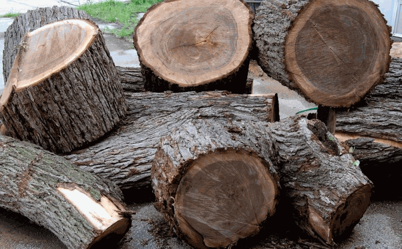 Gỗ tự nhiên thuộc nhóm IV