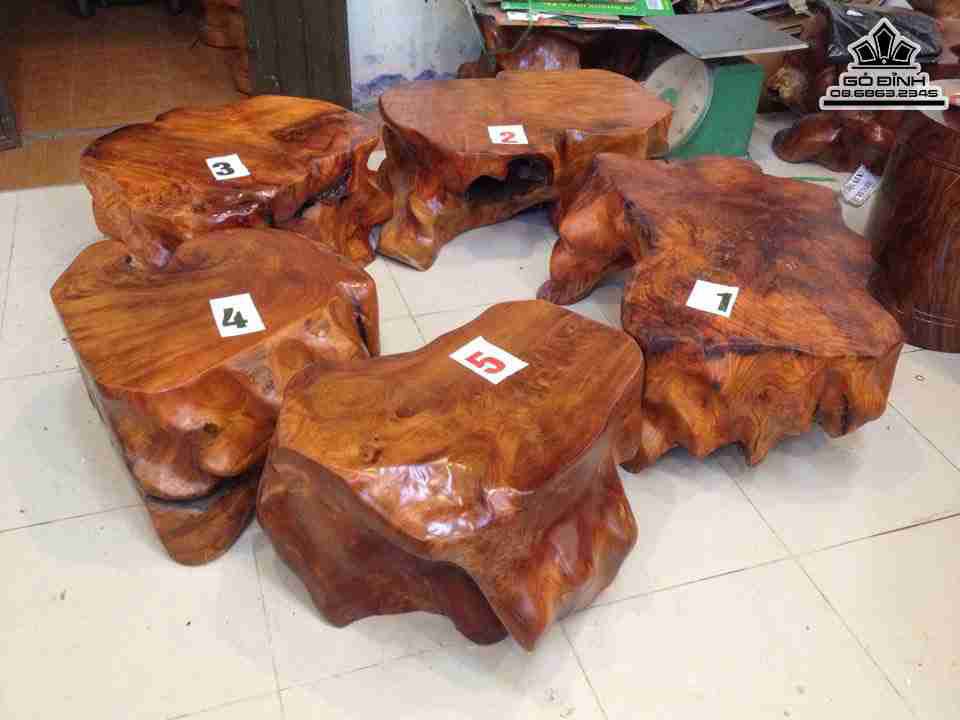 Bộ 5 Đôn Gốc Cây Nguyên Khối Gỗ Gõ Đỏ ( Cate )
