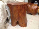 Don-Go-Nguyen-Khoi-Go-Muong-Den-5