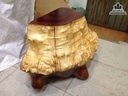 Don-Goc-Cay-Nguyen-Khoi-Go-Nu-Xa-Xi-Do-5
