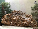 Tuong-Phat-Di-Lac-Keo-Bao-Tien-Go-Bach-Xanh