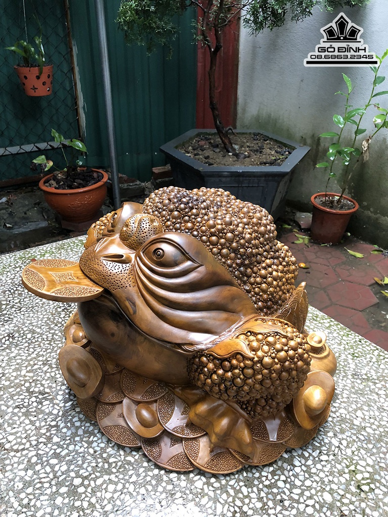 Tượng Cóc Gỗ Bách Xanh Cao 32 Ngang 52 Sâu 52 (cm) 0