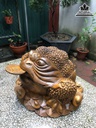 Tượng Cóc Gỗ Bách Xanh Cao 32 Ngang 52 Sâu 52 (cm) 0