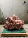 Tượng Phật Di Lặc Ngũ Phúc Gỗ Tùng Đỏ Cao 30 Ngang 45 Sâu 27 (cm) 3