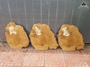 Tranh Gỗ Phúc Lộc Thọ Gỗ Dổi Cao 65 Ngang 55 Dày 2(cm)1