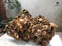 Tượng Phật Di Lặc Ngũ Phúc Gỗ Bách Xanh Cao 57 Ngang 88 Sâu 36 (cm) 0