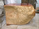 Đôn Gỗ ,Đôn Gốc Cây Nguyên Khối Gỗ Nu Xá Xị (Gù Hương) Cao 40 Ngang 58 Sâu 38 Mặt 52-34 (cm)DX201 2