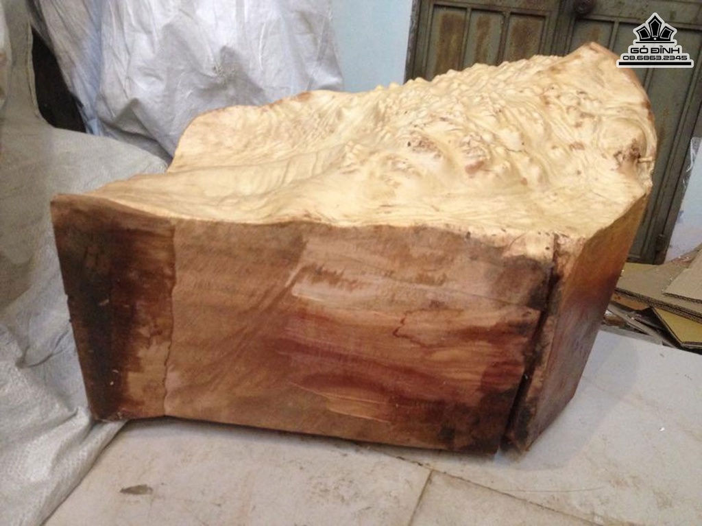 Đôn Gỗ ,Đôn Gốc Cây Nguyên Khối Gỗ Nu Xá Xị (Gù Hương) Cao 40 Ngang 58 Sâu 38 Mặt 52-34 (cm)DX201 5
