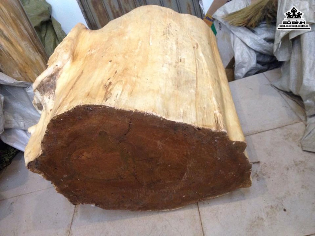 Đôn Gỗ ,Đôn Gốc Cây Nguyên Khối goxLim Đá Cao 60 Ngang 64 Sâu 50 Mặt 54-46 (cm)DL805 5
