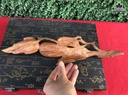 Quả Bầu Gỗ Sưa Cao 5 Ngang 32 Sâu 8 (cm) 0