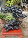 Tượng Ngựa ( Bát Mã) Gỗ Mun Sừng Cao 63 Ngang 50 Sâu 30 (cm) 1