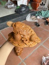 Tượng Cóc (Thiềm Thừ) Gỗ Bách Xanh Cao 10 Ngang 20 Sâu 14 (cm) 1