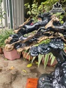 Tượng Bát Mã Gỗ Mun Sừng Cao 46 Ngang 56 Sâu 23 Cả Kỷ 56 (cm)