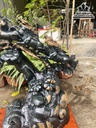 Tượng Bát Mã Gỗ Mun Sừng Cao 46 Ngang 56 Sâu 23 Cả Kỷ 56 (cm)