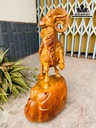 Tượng Dê Phong Thủy Gỗ Hương Cao 50 Ngang 30 Sâu 22 (cm)