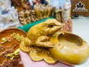 Gạt Tàn Thuốc Gỗ Bách Xanh Cao 8 Ngang 15 Sâu 10 (cm)