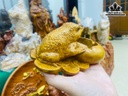 Gạt Tàn Thuốc Gỗ Bách Xanh Cao 8 Ngang 15 Sâu 10 (cm)
